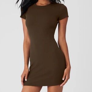 NWT xs brown ALO Dress